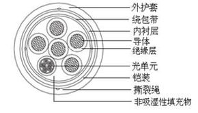 通達天下，纜動未來 解碼線纜企業的多元化戰略與創新突破